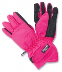 Ski Gloves